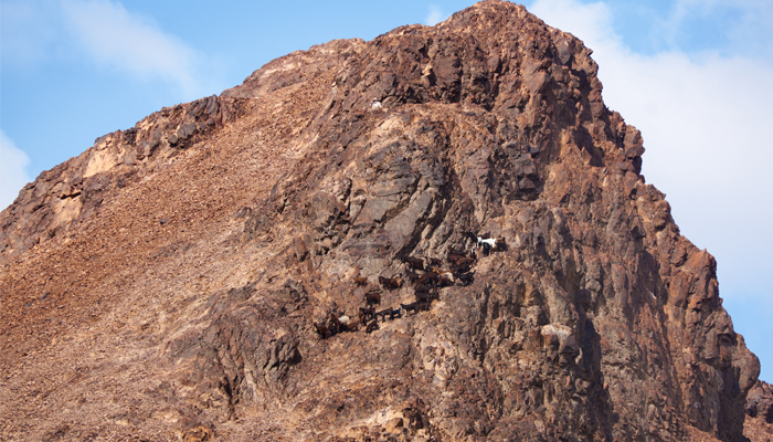 Explorez le Mont Uhud à Médine : un site d'importance historique et religieuse, célèbre pour son rôle dans l'islam.