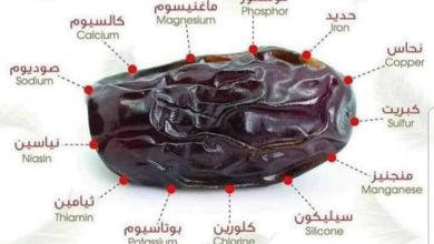 Découvrir les Bienfaits Nutritionnels des Dattes Pendant le Ramadan. 8 avantages de rompre le jeûne avec les dates.