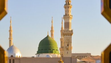 Histoire, architecture et signification spirituelle de la Mosquée du Prophète ﷺ à Médine, l'une des mosquées les plus sacrées de l'islam.