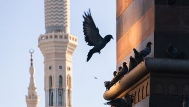 Découvrez la vieille ville de Médine, un voyage dans l'histoire islamique et la spiritualité. Voyage historique à Médine