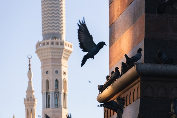 Découvrez la vieille ville de Médine, un voyage dans l'histoire islamique et la spiritualité. Voyage historique à Médine