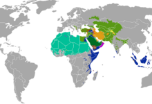 Comprendre les Quatre Écoles de jurisprudence islamique, leurs différences et leur importance pour renforcer la foi des croyants.