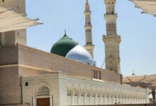 Explorez la Taqwa et découvrez des pratiques simples pour renforcer votre conscience de Dieu au quotidien.